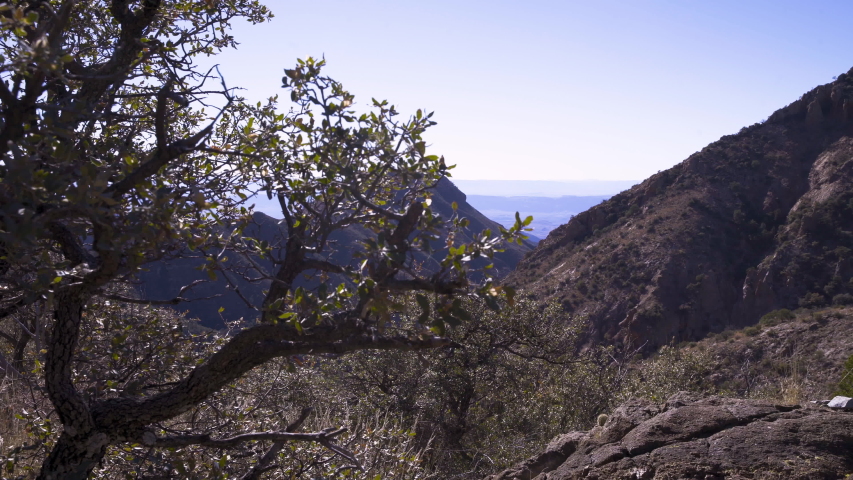 Mountain reveal shot from behind a branch pushing in, bright sunny day over a dry valley