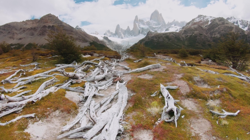 Dead trees on the highlands of the mount Fitz Roy. Mountain landscape of the national park Los Glaciares. 4k