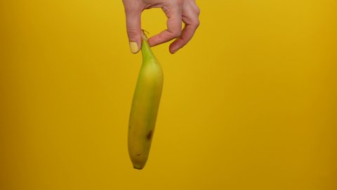 Female hand with yellow manicure holds a ripe banana fruit on a yellow background