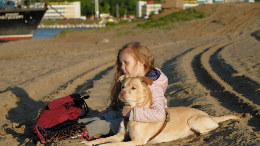 Preschool girl with long red wavy hair in warm clothes sitting on the sand on the beach feeds and strokes a brown labrodor dog. Spring or cold summer