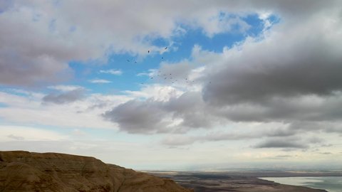 Flock of birds fly in rounds over Desert Mountains, Deadsea in the background, cloudy sky, long-shot