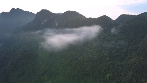 aerial thick piece of fog is stuck in high mountain covered with green tropical trees and bushes bird eye view