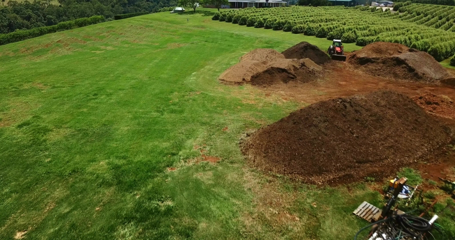 Aerial view of a plantation.