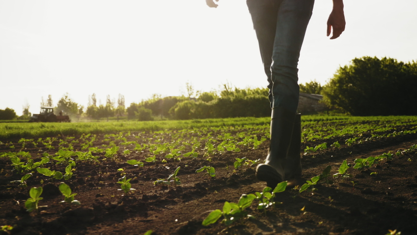 A farmer walks across a field in rubber boots on a blurred background of the tractor in motion. Concept of: Rubber boots, Lifestyle, Farmer, Slow Motion, Fields. Royalty-Free Stock Footage #1030071077