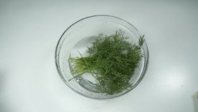 fresh green dill falls into the water. vegetarian foods. fresh and healthy vegetables and fruits - Powered by Shutterstock - Get 15% off with code: PIKWIZARD15