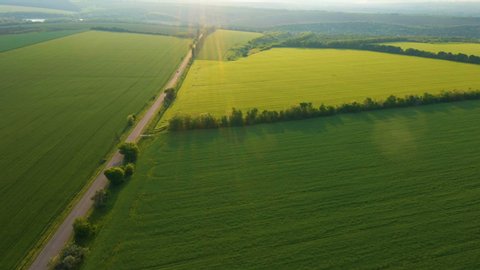 aerial view of  early summer green fields and road going through
