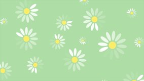 Summer camomiles flowers minimal abstract motion design. Seamless loopable. Video animation Ultra HD 4K 3840x2160