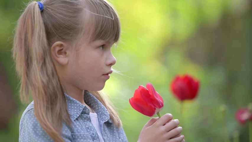 Young pretty child girl playing with a red tulip flower in summer outdoors.