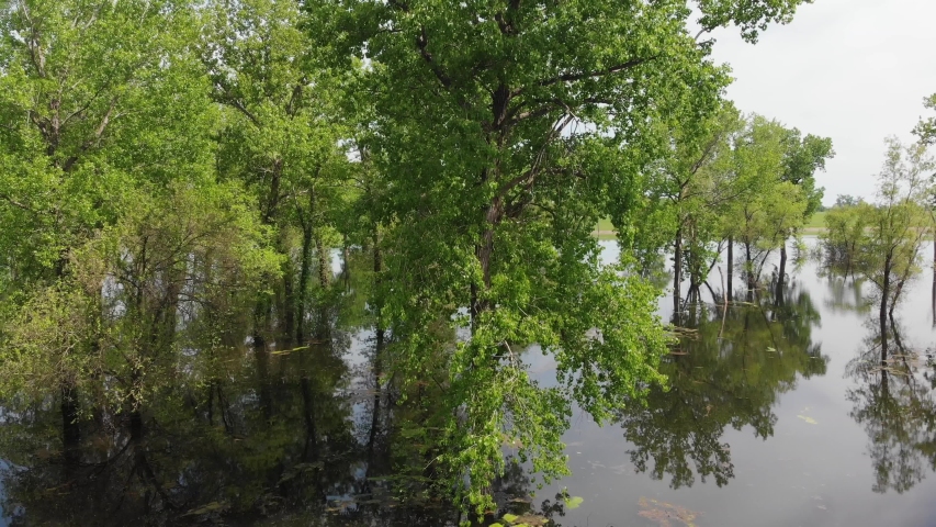 Drone Aerial Rise Tilt Down Shot of Flooded Fields and Trees by Mississippi River Near St Louis Missouri on Sunny Spring Day