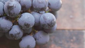 Top close up view of black grapes fruit. Selective focus. Panning to the left. Color graded.
