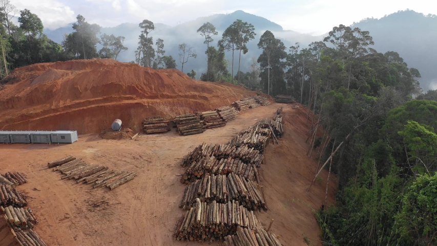 Logging and deforestation environmental problem. Rainforest in Malaysia destroyed for palm oil plantations  Royalty-Free Stock Footage #1030156301