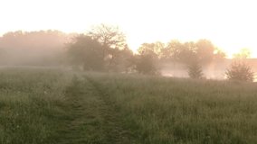 Misty sunrise with green meadow and lake and trees
