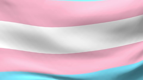 Transgender Pride Flag Waving Animation, Close Up Realistic 3D Animation Backgound in 4k resolution, Seamless Loop.