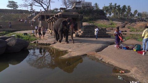 Hampi Karnataka India march 23 2019: Clean the elephant from the temple.
