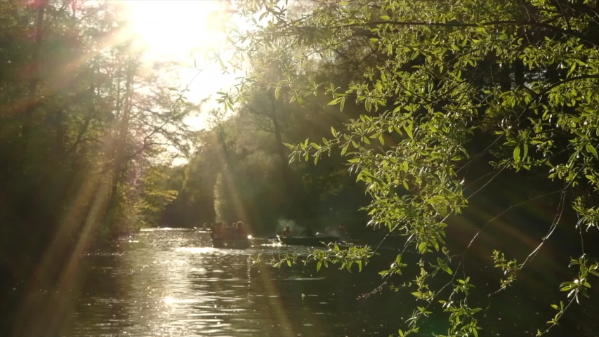 the solar flare in the Park in the summer