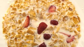 Corn sweet dry flakes in milk with fresh strawberries close-up macro video clip