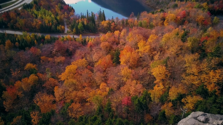 View of Echo Lake from Artist