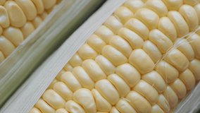 Close up footage of sweet corn. Selective focus. Panning to the left.