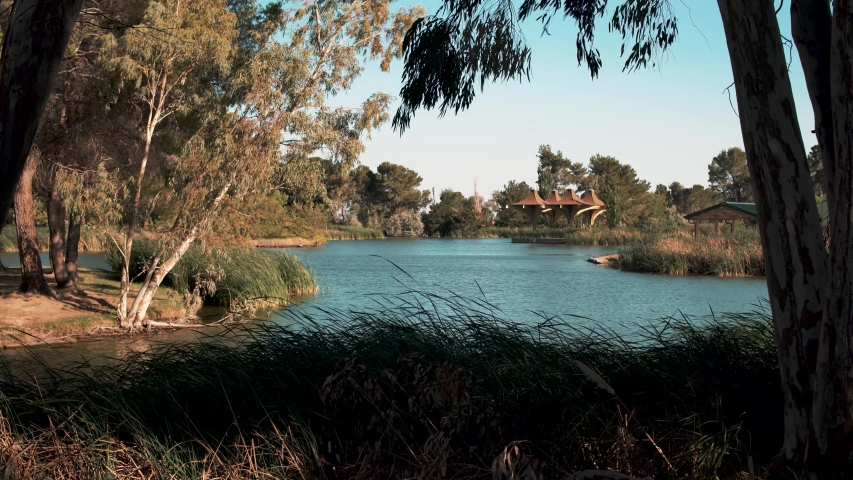 Breeze rustling grass by lake, sunny spring day, slow slider left