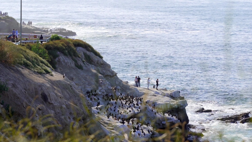 A beautiful sunny day on the cliffs of La Jolla in San Diego, California. 
