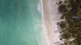 4k drone video flying along beach showing waves from blue ocean gently crashing on beach in sunny weather with palm trees
