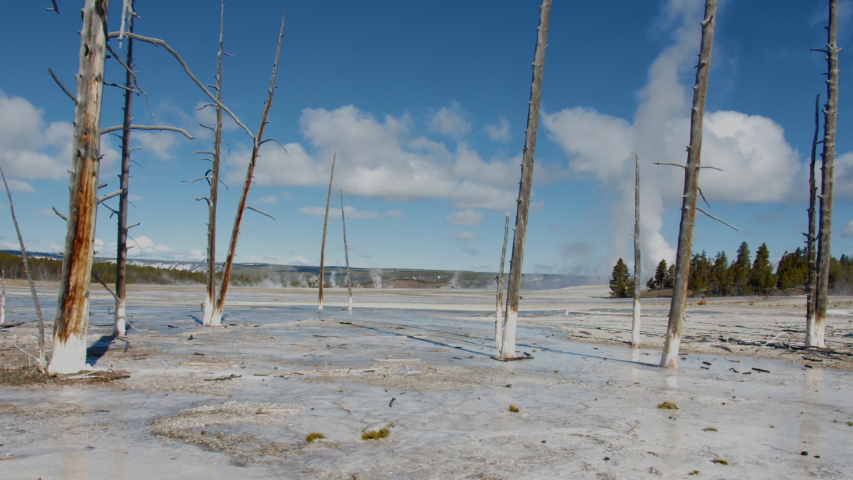 Steaming geyser pools in Yellowstone National Park, Wyoming