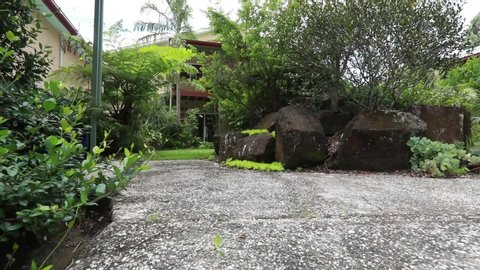 Concrete Garden Walkway Beside Rocks Lawn Stock Footage Video (100% ...