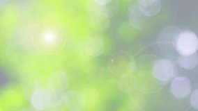 Defocused abstract nature background with green leaves and bokeh lights. Royalty high-quality free stock video footage of natural blurred bokeh background from leaf and tree effects bokeh bubble light