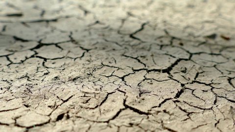 Cracked crust of soil from drought. Dried crust. Desert without water. Barren field in hot weather.