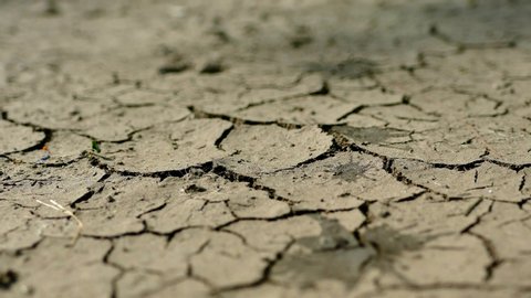 Water drops of rain fall on the cracked crust of soil from drought. The long-awaited rain. Dried crust. Desert without water. Barren field in hot weather.