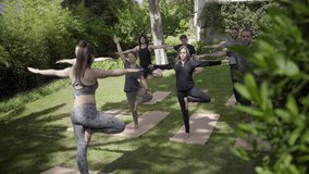 Sporty people practicing yoga in park. Barefoot men and women in sportswear standing on yoga mats and performing tree pose. Yoga concept