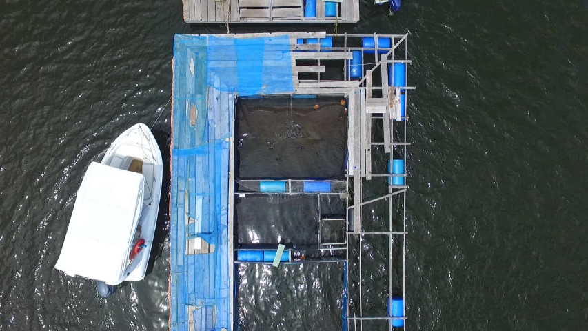 Top down aerial view of fishing boat in Boipeba, Bahia, Brazil.