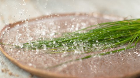 MACRO, DOF, SLOW MOTION: Long chive stems fall into a shallow plate full of cold water sitting on the wooden table. Water droplets spray across the kitchen counter after chives fall into the plate.