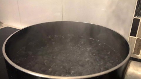 Water boils in a pot on a hot plate