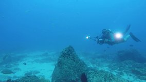 A video of an underwater cameraman filming marine life in the ocean with underwater equipment and lights