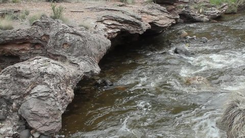 Jemez Creek in central New Mexico flows beneath undercut rock near the "Soda Dam" during the spring runoff.