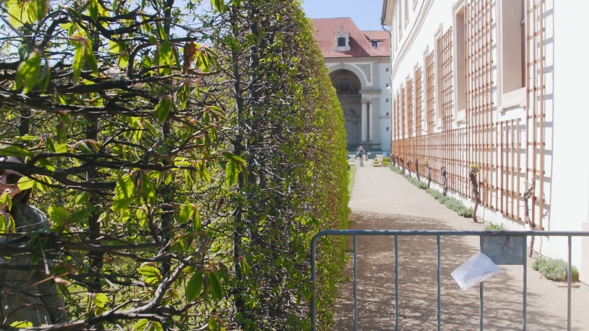 A young couple walking among decorative plants