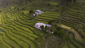 Himalaya agriculture terraces, 4k drone aerial footage