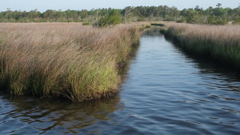nature trail walkway through a spartina grass marsh near Topsail Beach, North Carolina. Spartina Marches protect the mainland from damage by ocean storms and hurricanes.
