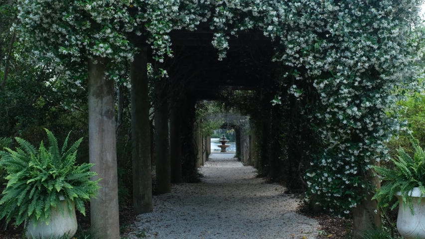decorative arbor tunnel of flowering vines at a public garden in Wilmington, North Carolina