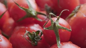 Close up footage of a group of various sizes tomatoes. Selective focus.