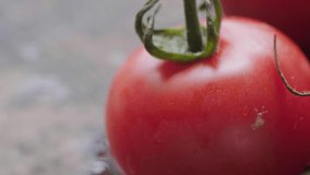 Close up footage of a group of various sizes tomatoes. Selective focus. Panning to the right.