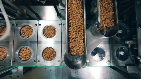process filling containers wheat crackers food Stock Footage Video (100 ...