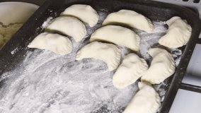 Wonderful cooking dumplings video footage