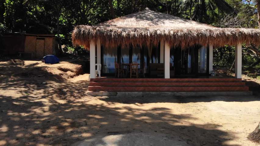 Pullback Flyover In A Palm Tree Forest With An Island Hut And Palm Trees