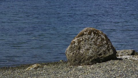 Camano Island State Park, WA State beach with rocks and boulder. 10 sec/ 24 fps slow motion