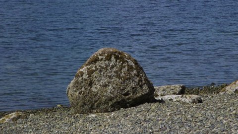 Camano Island State Park, WA State beach with rocks and boulder. Panning 10sec/24fps slow motion Version 1
