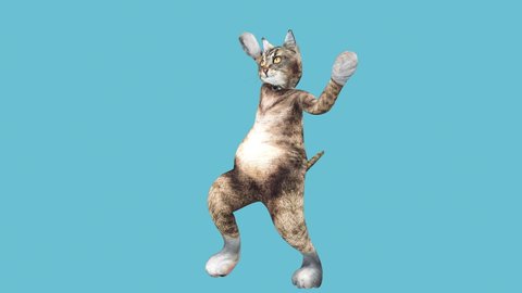 A cute brown pussycat dancing alone in a modern style in empty colour space. cat waving paws and tail in an energetic summer mood. Cool and the best moves in the stylish of the 80s and 90s