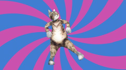 Comic tomcat waving paws and tail in an energetic clip summer mood. A cute brown pussycat dancing alone in a modern style in tunnel colour space. Cool and the best moves in stylish of the 80s and 90s
