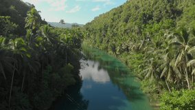 beautiful forward revealing aerial drone shot over a wide asian river with overhanging palmtrees over the water and green forest on the riverbanks during sunset 4k drone shot